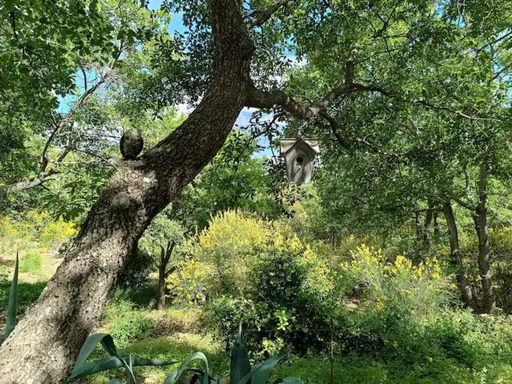 L'Autre Perle, Balneo En Supplement, Le Clos Des Perles Tourtour Exteriér fotografie